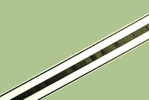 French Vintage Striped Ribbon 